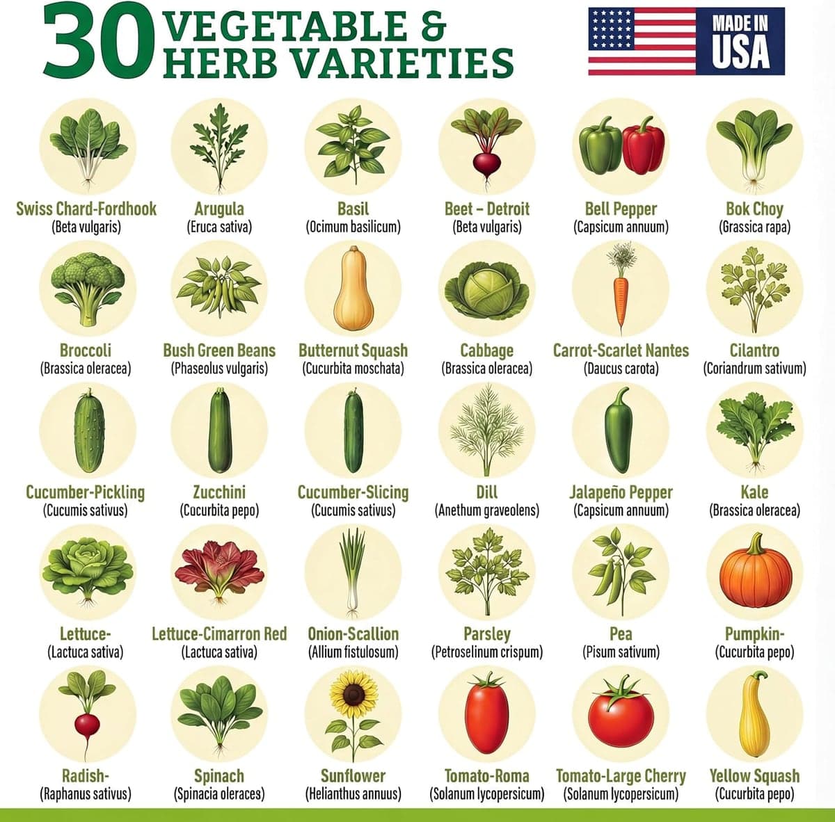 Culinary Seed Kit photo 6