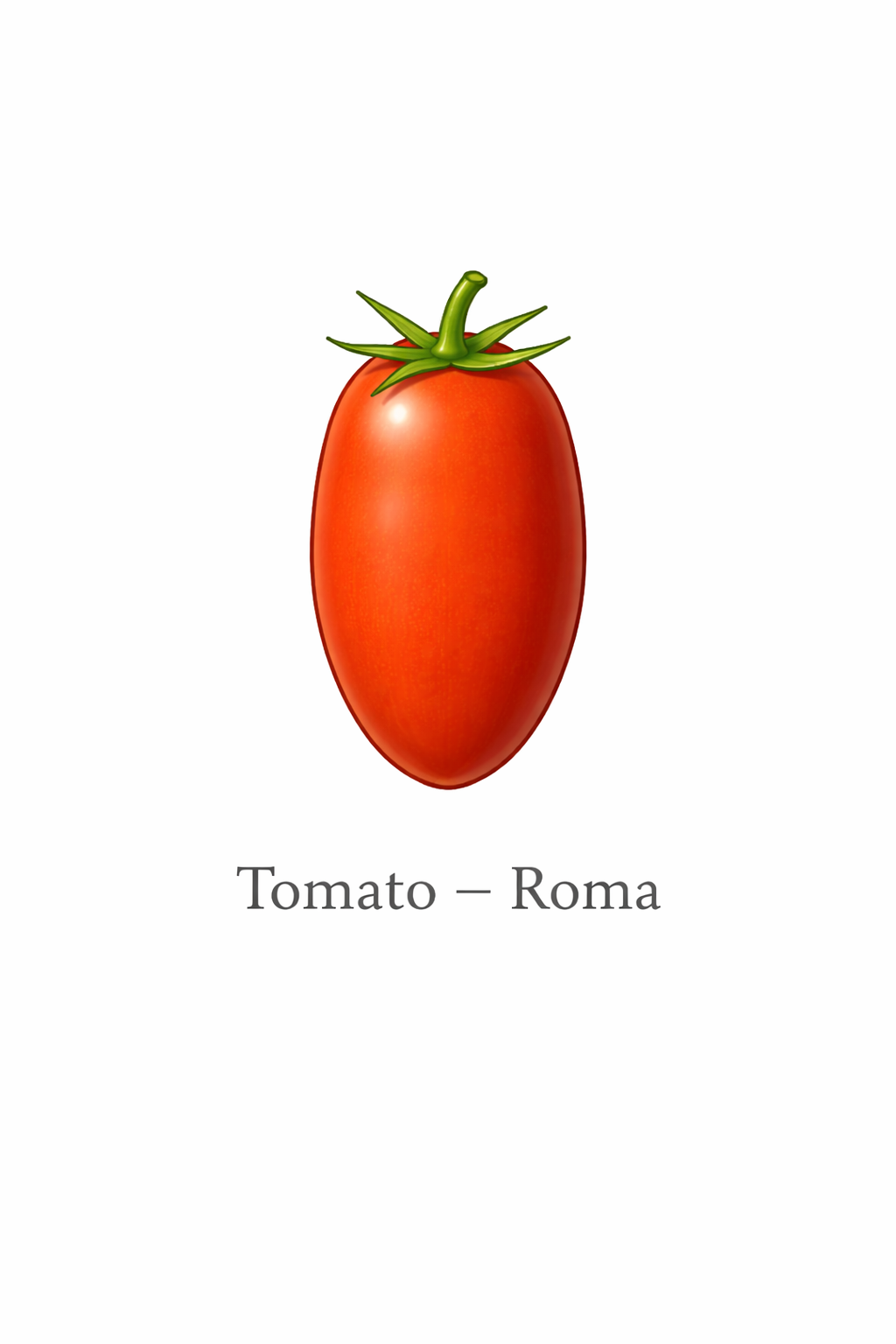 How to grow Roma VF Tomato · Vimtoba